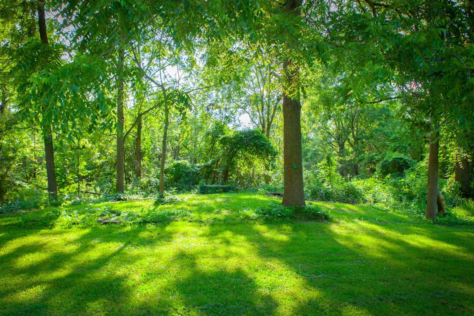 Nature Oasis Bar Room Dundas Eksteriør bilde